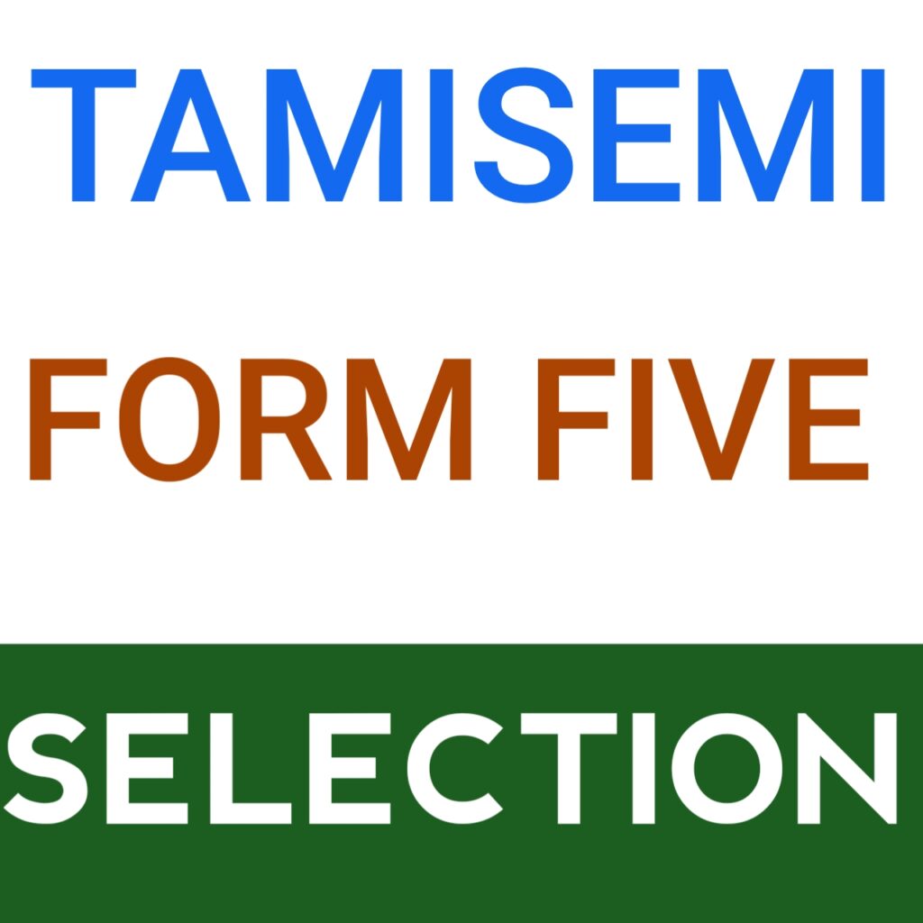 TAMISEMI Form Five Second Selection 2026/2027