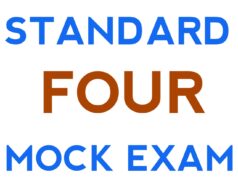 Standard Four Second Mock Exam 2026 By Pesno